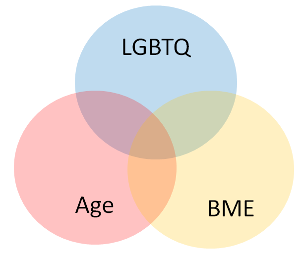 age, BME and LGBTQ venn diagram